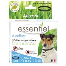 E.collier petit chien noir 41cm b/1collier